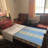تخت خوابی یک نفره (چوب نراد)|تخت و سرویس خواب|نوشهر, |دیوار