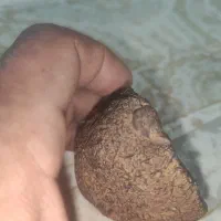 شهاب سنگ