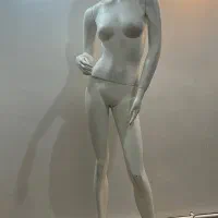 مانکن ویترین