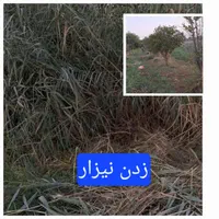 علف زن علف زنی با دستگاه  کاشت چمن طبیعی|خدمات باغبانی و درختکاری|دزفول, |دیوار