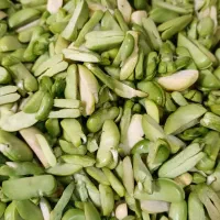 باقالی تر و تازه