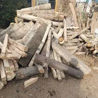 خریدار انواع چوب و قطع درخت