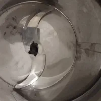 سبزی خردکن سبز ایران|خردکن، آسیاب، غذاساز|قم, اسمعیل آباد|دیوار