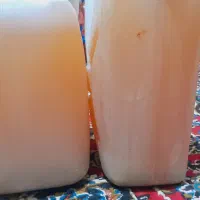 آبغوره دشمن زیاری