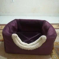 جای خواب سگ