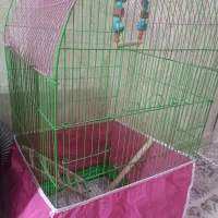 قفس پرنده|لوازم جانبی حیوانات|رباطکریم, رباطکریم|دیوار