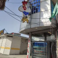 کار و نیرو قطعه بندی مرغ
