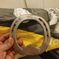 نعل اسب|اسب و تجهیزات اسب‌سواری|محمدشهر, محمدشهر|دیوار