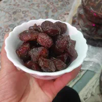 خرمای نخل های جنوب کرمان  درجه یک صادراتی|خوردنی و آشامیدنی|تهران, یافت آباد جنوبی|دیوار