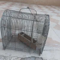 قفس پرنده|لوازم جانبی حیوانات|شیراز, تندگویان|دیوار