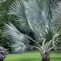 خونه ویلایی روستای گودگز