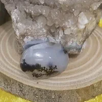 شجر زیبا منظره|بدلیجات|کرمانشاه, |دیوار