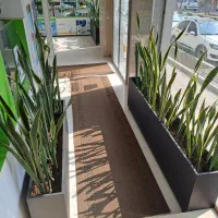 نیروی آرایشی بهداشتی در داروخانه