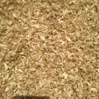 فروش بهار نارنج