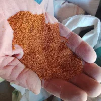 خاکشیر وکنجد|عمدهفروشی|نیشابور, شهرک اردسمان|دیوار