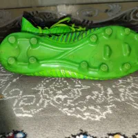 کفش چمن|کیف، کفش، کمربند|دهدشت, |دیوار