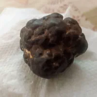 شهاب سنگ به شرط آزمایش