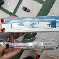 لامپ خیاری