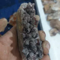 سنگ کولکسیونی|کلکسیون اشیاء عتیقه|بیرجند, |دیوار