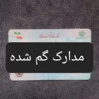گمشده مدارک