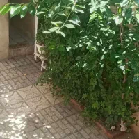 خانه-ای-دوبلکس-وشیک-با-نور-گیر