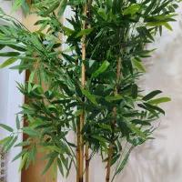 گل مصنوعی|گل مصنوعی|صحنه, |دیوار