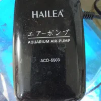 آکواریوم ولوازم|ماهی|زاهدان, |دیوار