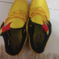 کتونی zx8000 اورجینال ادیداس لگو|کیف، کفش، کمربند|پرند, فاز ۳|دیوار