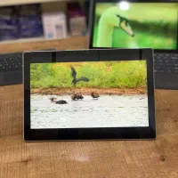 Surface pro|رایانه همراه|فردوس (خراسان), |دیوار