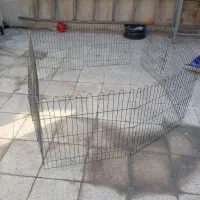 پارک سگ