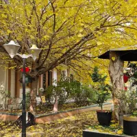 خط ثابت46045312