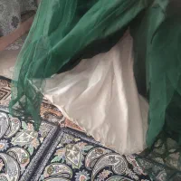 لباس مجلسی برای ۱۰ تا ۱۲ سال|لباس|قم, نیروگاه|دیوار