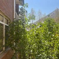 اجاره ویلا دو طبقه