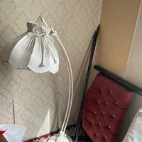 اباژور ایستاده