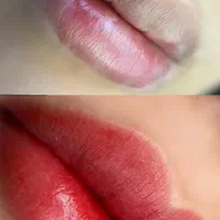 تاتوی بدن و صورت( آموزش حرفه ای) شیدینگ، میکرو|خدمات آرایشگری و زیبایی|گلبهار, |دیوار