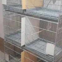 هشتخون پژاوند