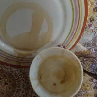 فنجان حقیقت