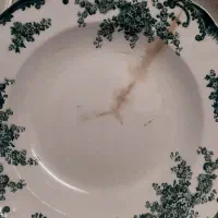 بشقاب گل سبز