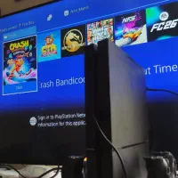 ps 4 fat