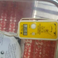 تعمیر دستگاه های جوجه کشی|خدمات پیشه و مهارت|دیواندره, |دیوار