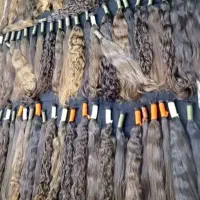 اگه میخای مو بخری یا بفروشی بیا