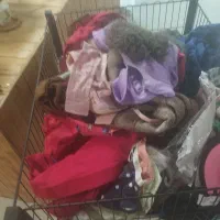 سوتین ست 350|حراج|همدان, |دیوار