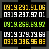 0919.291.91.06