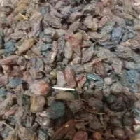 مویز درجه۳ کیلو۵۰ تومان