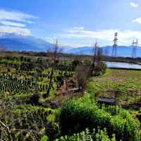 اجاره ویلا روزانه|اجارهٔ کوتاهمدت ویلا و باغ|رودسر, |دیوار