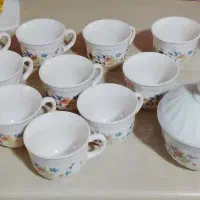 گل ویکتوریا