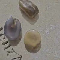 مهره ونگین