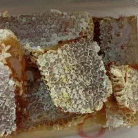 عسل طبیعی اشکورات