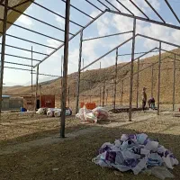 کارگر ساده و نیمه