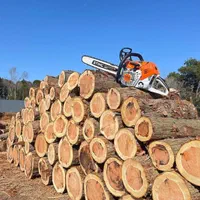 چوب کنده ریشه درخت حرص خریدار با بالا ترین قمیت|خدمات باغبانی و درختکاری|نیشابور, خیام|دیوار